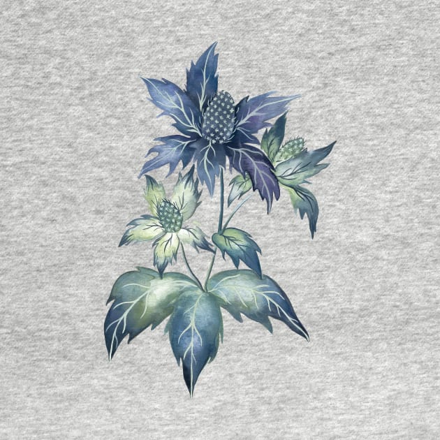 Sea Holly Thristle by themintgardener